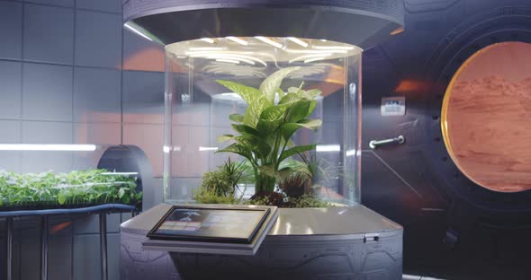 Plant Incubators on a Mars Base