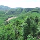 Mountain And Tree In Lam Dong Viet Nam - VideoHive Item for Sale
