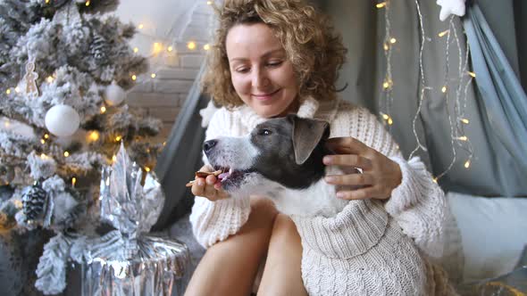 Young Woman And Dog Wearing Knit Sweaters At Home Celebrating Christmas