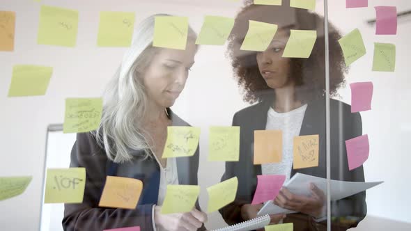 Cheerful Female Business Colleagues Working on Tasks