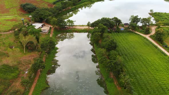 Aerial view of rural farming community in Mae Sai, Northern Thailand.