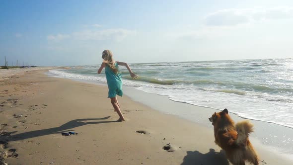 Child Girl With The Dog On A Sea Shore 3