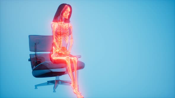 Human Skeleton Radiography Scan alt