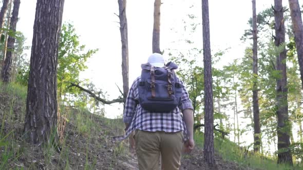 A Young Man Walks in the Woods.