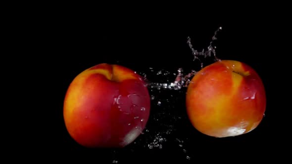 Two Ripe Delicious Nectarines are Colliding with Each Other