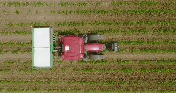 Tractor spreading fertilizer over young corn crops, Drone footage.