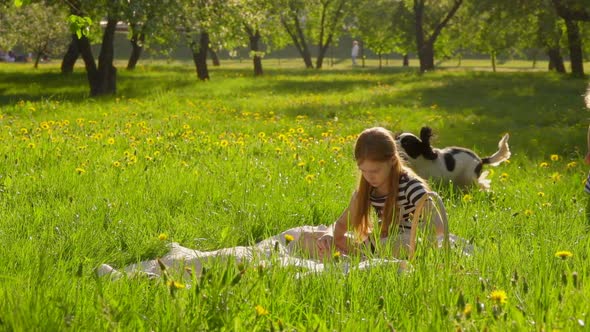 A Beautiful Longhaired Girl in a Striped Dress is Reading a Book on the Lawn