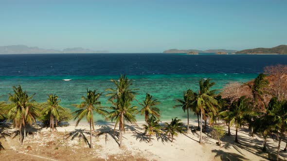 Torpical Island with White Sandy Beach, Top View.