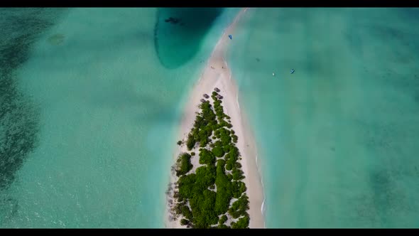 Aerial travel of marine resort beach wildlife by transparent water and clean sandy background of a d