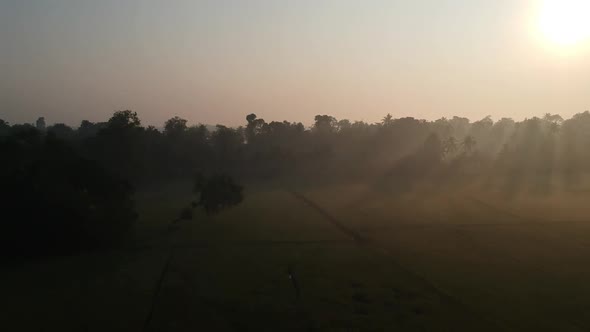 Aerial shot of Beautiful sunrise over paddy field, Morning shot with mist,Golden lights