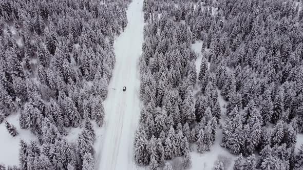 Aerial View of the snowed tree and car riding inside it