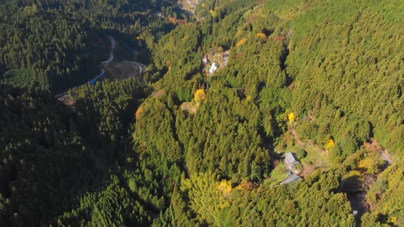 flying over a mountainous forest