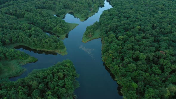 Aerial View Of Forest With The River And Lakes