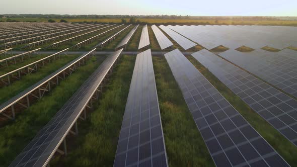 Aerial Drone View Into Large Solar Panels at a Solar Farm at Summer Sunset