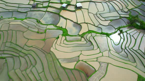 An aerial view over the beautiful rice terraces