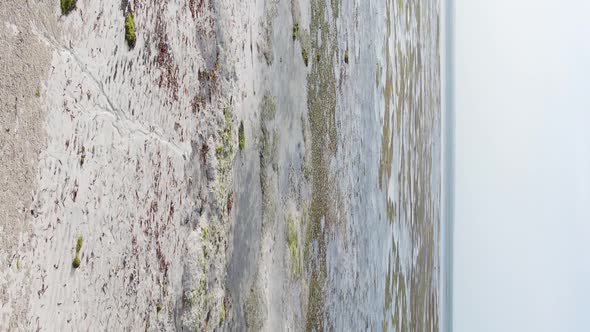 Zanzibar Tanzania  Vertical Video of Low Tide in the Ocean Near the Coast Slow Motion