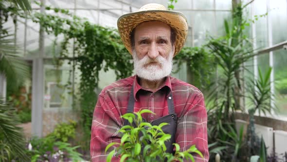 Satisfied Bearded Retired Botanical Worker in Uniform which Showing Into Camera