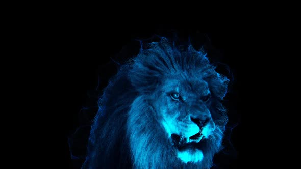 Ghost Lion 