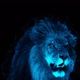 Ghost Lion  - VideoHive Item for Sale