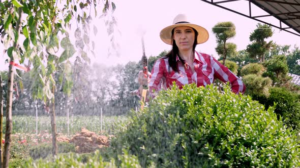 Woman Gardener Watering, Hosing Plants with Sprayer in Garden Center, Near Greenhouse. Gardening
