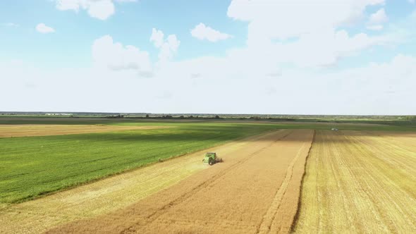 Combine harvester gathers the wheat crop. Farming concept. Top view