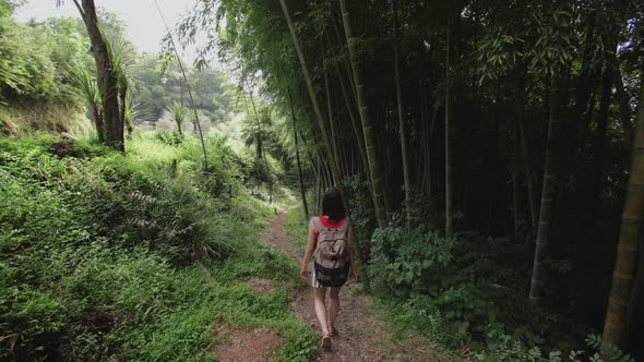 Travel Girl with Bag Walks Along Path in Tropical Park of Tropical Plants, Palms, Bamboo Plantation