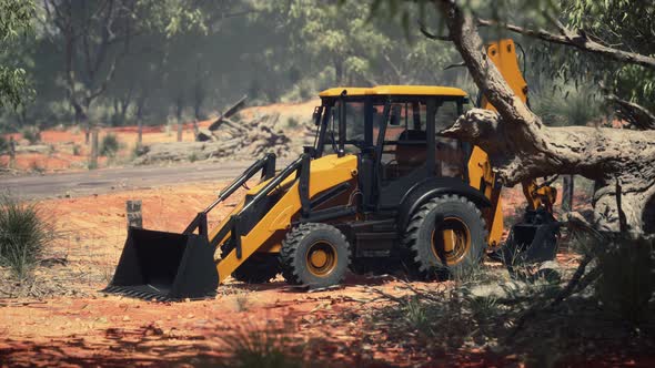 Excavator Tractor in Bush Forest