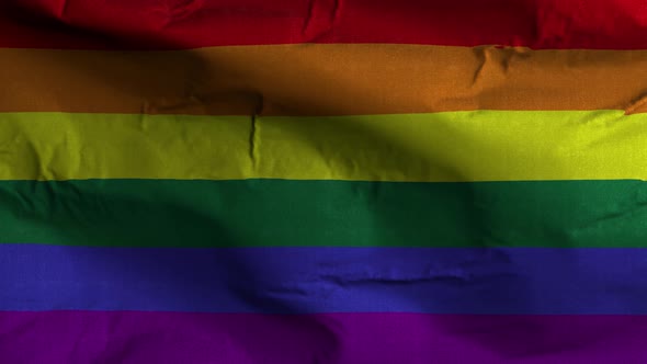 LGBT Flag Textured Waving Background 4K