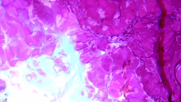 Liquid Colorful Paint Pattens Mix In Slow Motion  alt