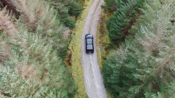 4X4 Pickup Vehicles Driving Through Forest - All Brands Removed