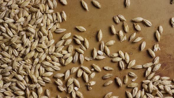 Rotating shot of barley and other beer brewing ingredients - BEER BREWING