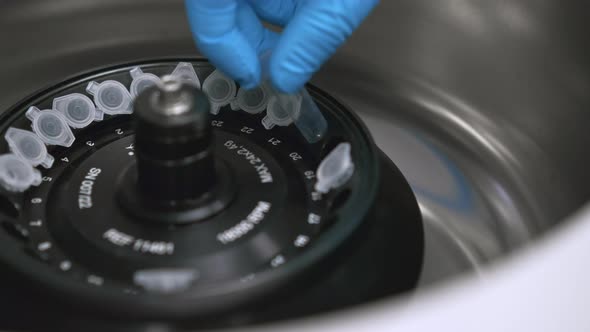 Laboratory Worker Puts Chemical Tubes Into the Centrifuge