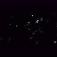 Footage Fireworks with Sparkling Lights and Stars Ignites an Explosion on a Black Background - VideoHive Item for Sale