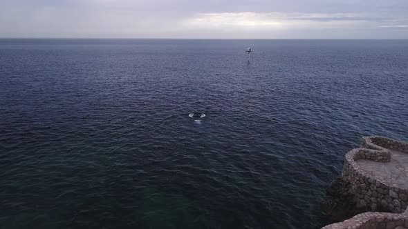 Man swimming in the open sea