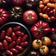Various Kinds of Tomatoes Placed on Dark Rusty Table - VideoHive Item for Sale