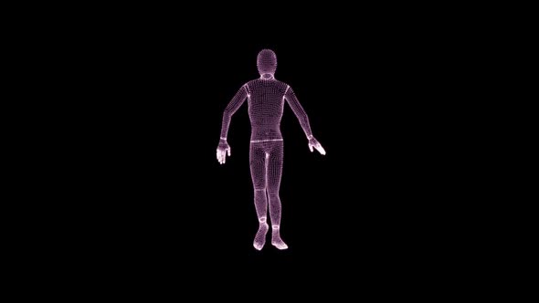 Moonwalk Man Vertices 3D