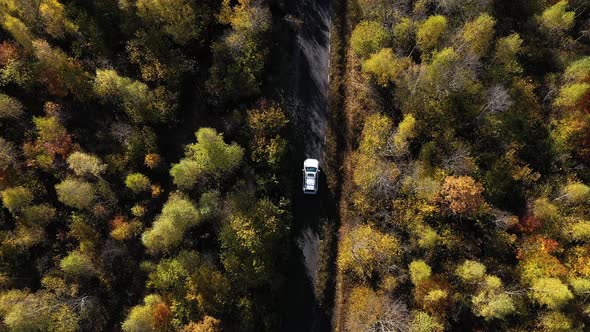 Flying Above a White Car Driving on Colorful Autumn Forest Road