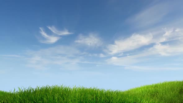 Meadow and Time-Lapse Sky Background