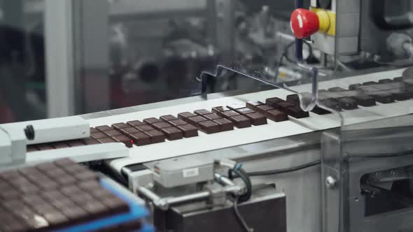 Chocolate Factory, Production of Sweets and Desserts, View of Chocolates Transported on Conveyor
