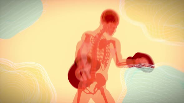 4K anatomy animation of a boxer alt