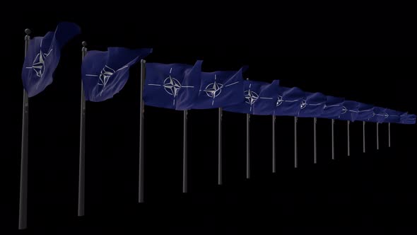 Row Of Nato Flags With Alpha 4K 