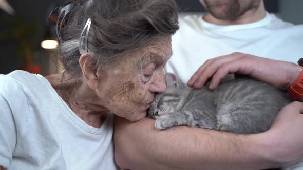 Happy Senior Woman Cuddling and Kiss Snuggle Up To Face Small Cute Gray Kitten Which Held in Arms By