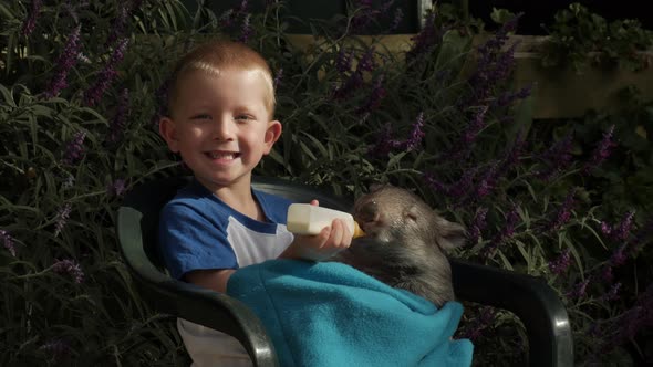 Boy smiles at the camera while feeding a cute baby wombat. LOCKED DOWN SHOT.