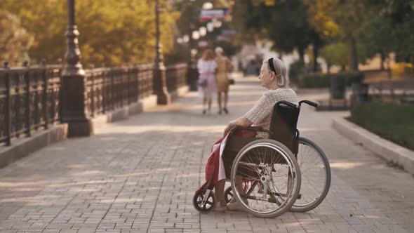 Older Woman Sit on Wheelchair on Nature