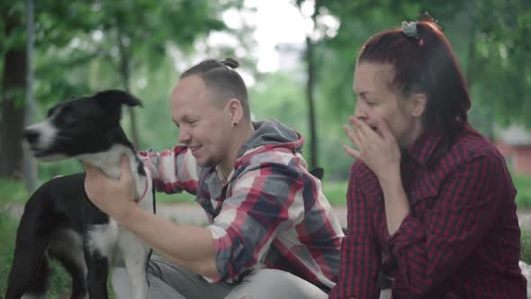 Side View of Smiling Man Sitting with Woman and Dogs in Summer Park and Talking