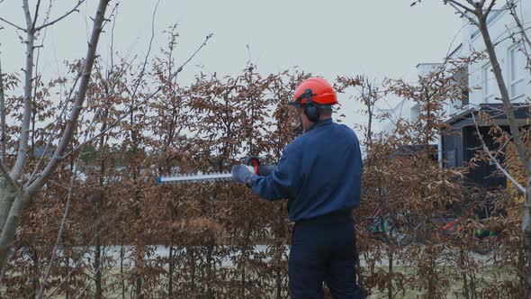 Close up view of a man who trims bushes in early spring. Home gardening concept.