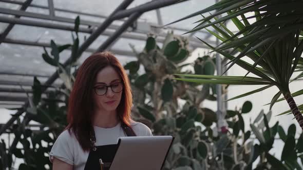 Red-haired Woman in the Garden with Succulents Studies the Plants