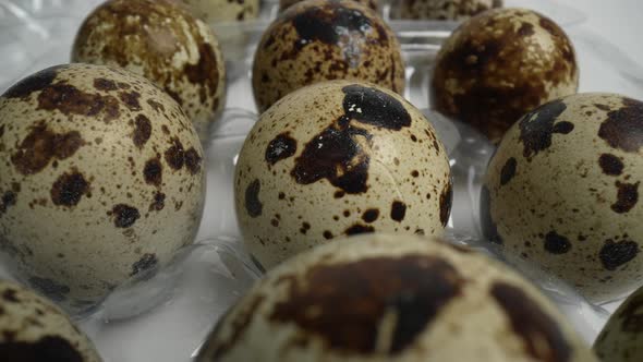 Quail Eggs 49