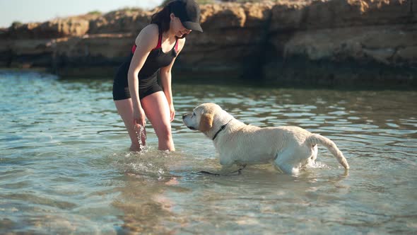 Side View Happy Dog Walking in Mediterranean Sea in Sunshine Following Positive Owner Talking