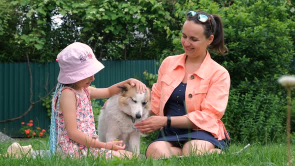 Enjoying Weekend in Country House with Pet Dog